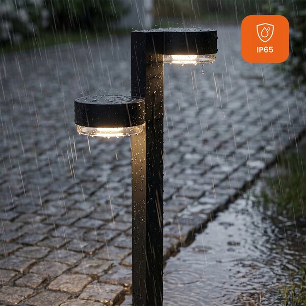 LED solární dvouramenné zápichové svítidlo, 55 cm, 100 lm, 3000 K, IP65