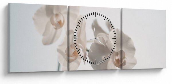 Obraz bílé orchideje (s hodinami) (90x30 cm)