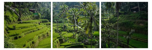 Obraz rýžových teras Tegalalang, Bali (s hodinami) (90x30 cm)
