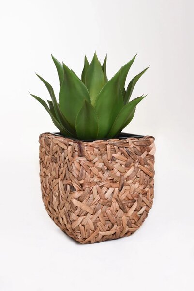 Květináč WILD, vodní hyacint, výška 40 cm, natur