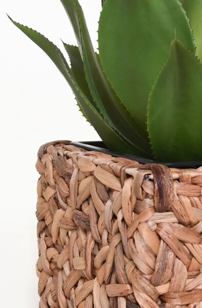 Květináč WILD, vodní hyacint, výška 40 cm, natur