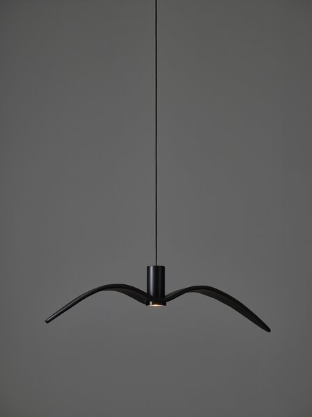 Designové závěsné venkovní svítidlo Brokis Night Birds PC1112, IP54 Povrch Montury: Stříbrný elox, Barva skla: Šedá kouřová - masiv, Povrch baldachýnu: kov - černý matný komaxit