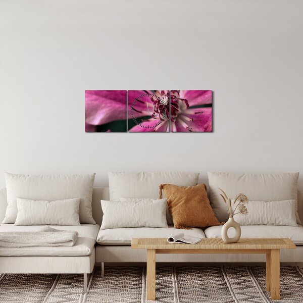 Obraz růžového květu Plaménku (s hodinami) (90x30 cm)