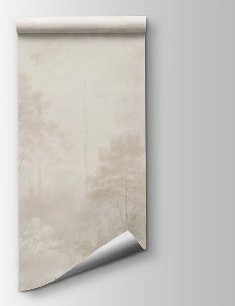 Fototapeta Zamlžený les se stromy, Přírodní fototapety, Populární fototapety, t00948 - Tapeko.co.cz