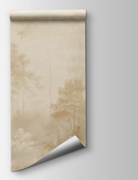 Fototapeta Zamlžený les se stromy, Přírodní fototapety, Populární fototapety, t00948v1 - Tapeko.co.cz