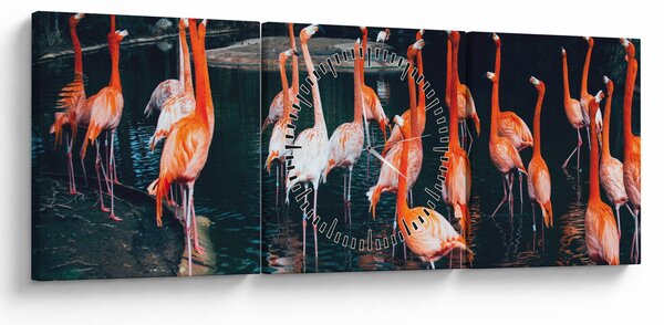 Obraz stáda plameňáků (s hodinami) (90x30 cm)