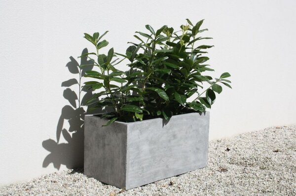 Truhlík MAXI, sklolaminát, šířka 60 cm, beton design