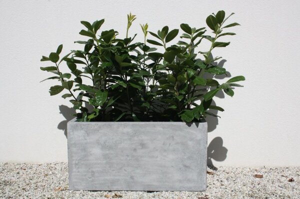 Truhlík MAXI, sklolaminát, šířka 60 cm, beton design