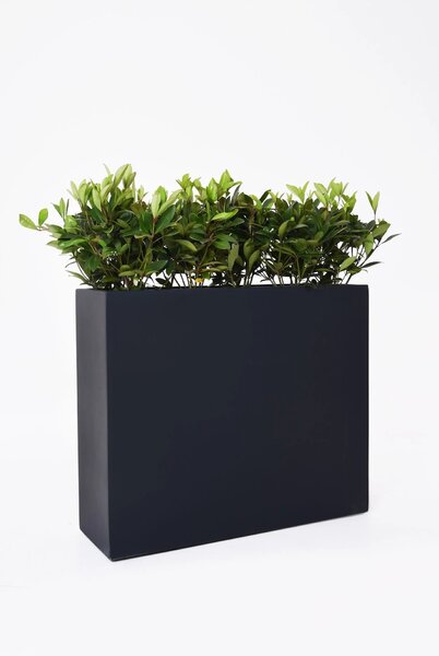 Květináč ELEMENTO, sklolaminát, šířka 88 cm, antracit, na kolečkách