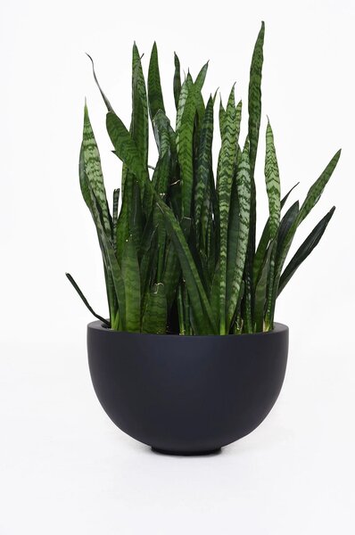 Mísa na rostliny ALICE, sklolaminát, Ø 45 cm, antracit