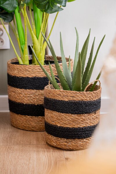 Umělá rostlina ALOE v košíku, 37 cm