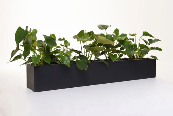 Truhlík FLOBO, sklolaminát, šířka 100 cm, antracit