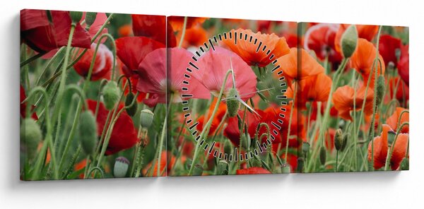Obraz z pole vlčích máků (s hodinami) (90x30 cm)