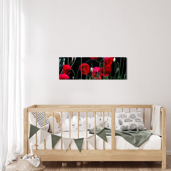 Obraz - Tanec vlčích máků (s hodinami) (90x30 cm)