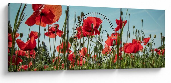Obraz - Na poli vlčích máků (s hodinami) (90x30 cm)