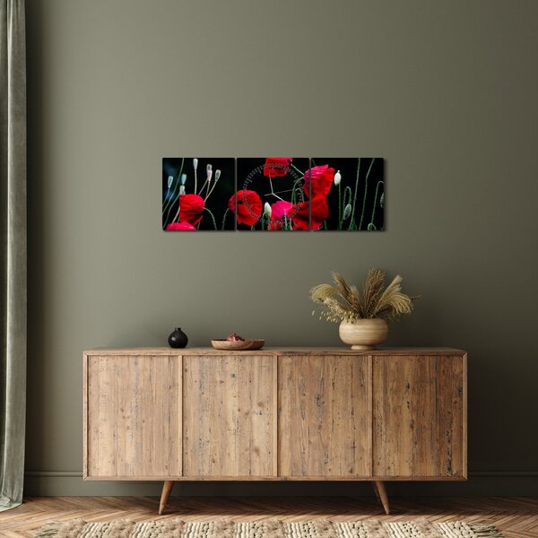 Obraz - Tanec vlčích máků (s hodinami) (90x30 cm)