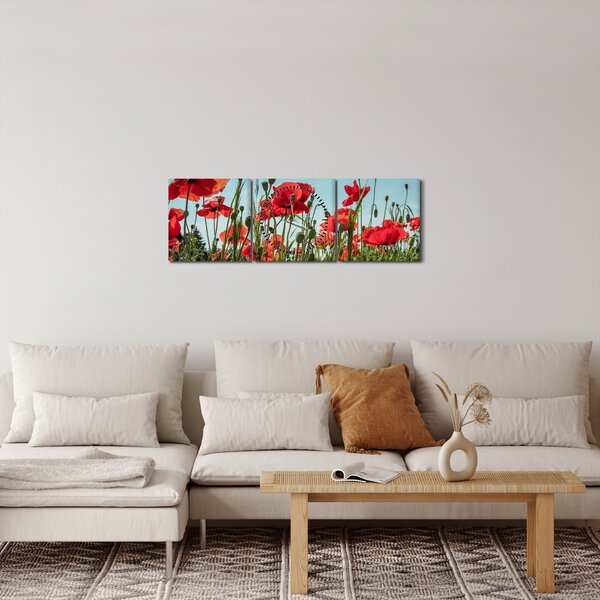 Obraz - Na poli vlčích máků (s hodinami) (90x30 cm)