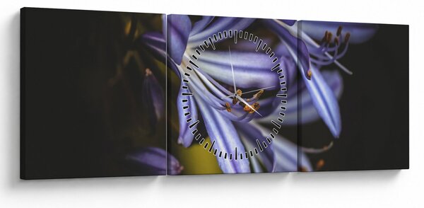 Obraz - Lila (s hodinami) (90x30 cm)