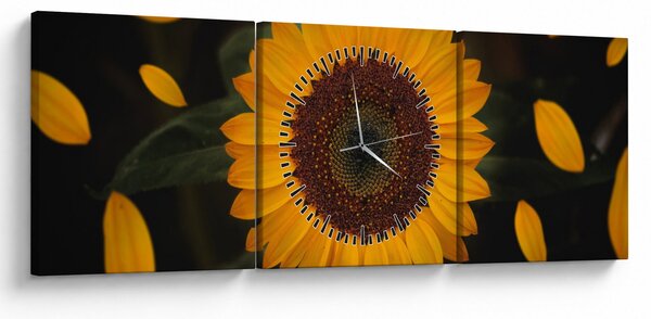 Obraz - Slunečnice a lístky květů (s hodinami) (90x30 cm)