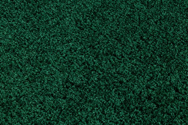 Oblíbený koberec Meggi Shaggy - zelený 60x100 cm