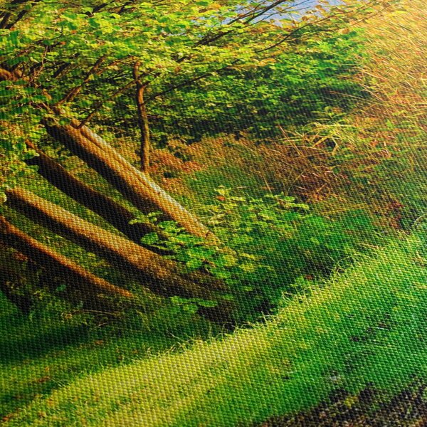 Obraz stezky podél vody (s hodinami) (90x30 cm)