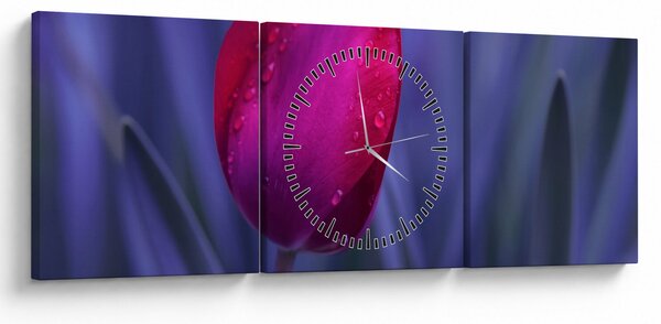Obraz poupěte tulipánu (s hodinami) (90x30 cm)