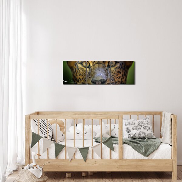 Obraz - Portrét leoparda, Sri Lanka (s hodinami) (90x30 cm)