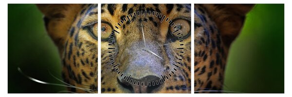 Obraz - Portrét leoparda, Sri Lanka (s hodinami) (90x30 cm)