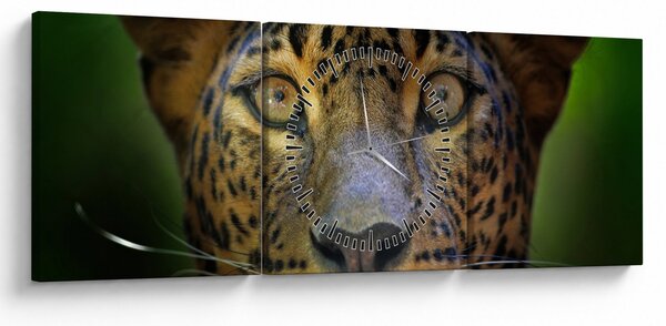 Obraz - Portrét leoparda, Sri Lanka (s hodinami) (90x30 cm)