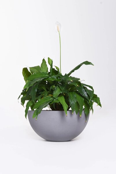 Mísa na květiny CUENCO, sklolaminát, výška 18 cm, šedá