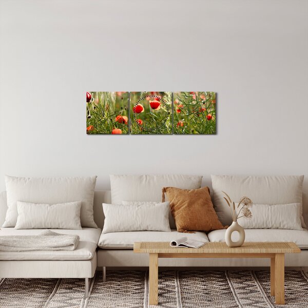 Obraz vlčích máků (s hodinami) (90x30 cm)