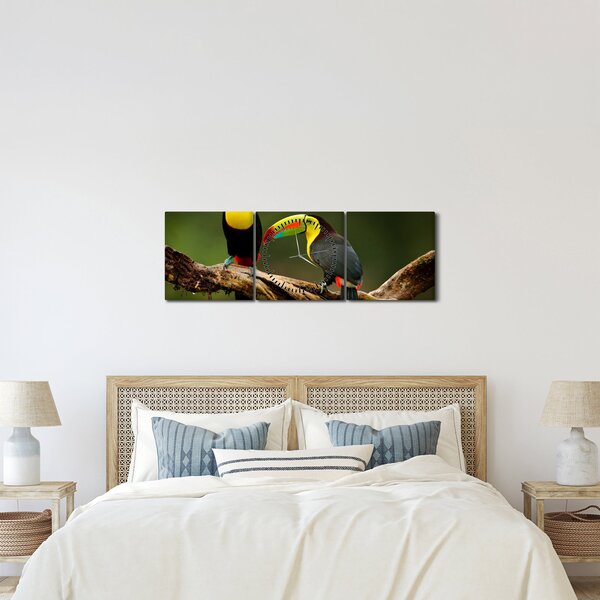Obraz sedících tukanů, Costa Rica (s hodinami) (90x30 cm)