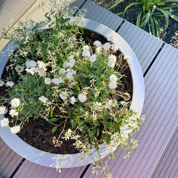 Okrasná miska PLANA, sklolaminát, Ø 44 cm x výška 11 cm, beton design