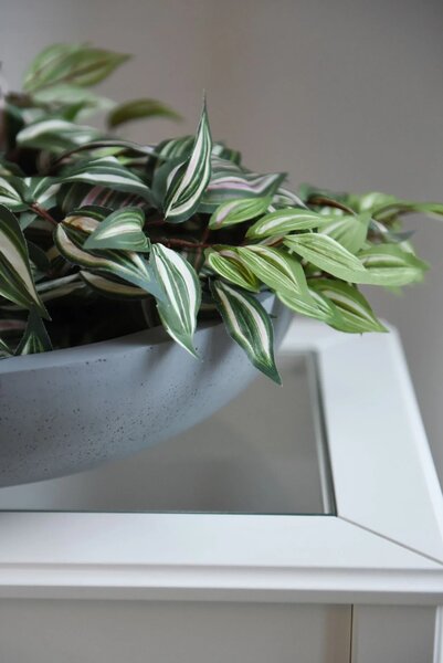 Okrasná miska PLANA, sklolaminát, Ø 44 cm x výška 11 cm, beton design