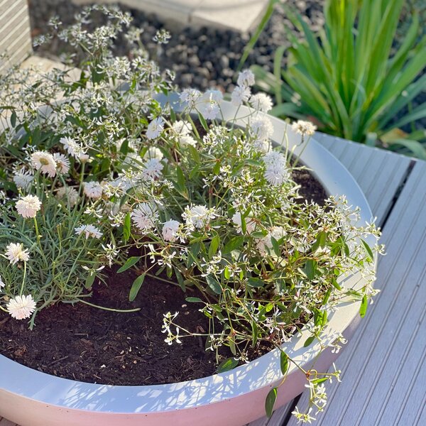Okrasná miska PLANA, sklolaminát, Ø 44 cm x výška 11 cm, beton design