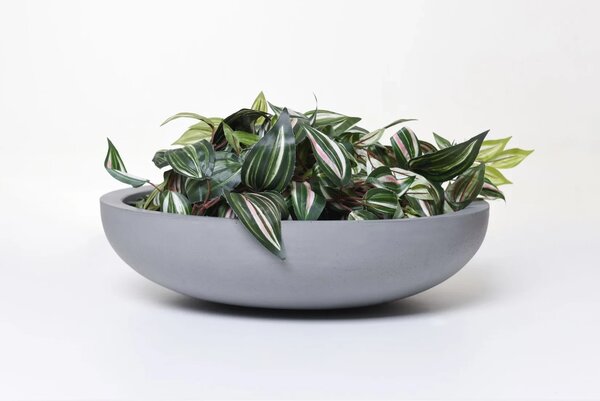 Okrasná miska PLANA, sklolaminát, Ø 44 cm x výška 11 cm, beton design