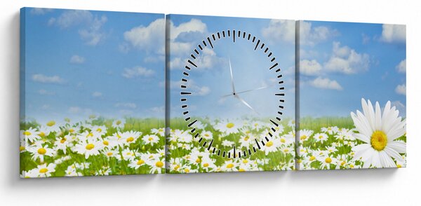 Obraz rozkvetlé louky s kopretinami (s hodinami) (90x30 cm)
