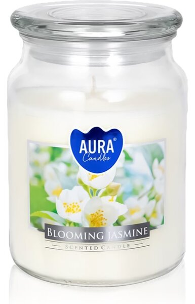 BISPOL Premium Line Jasmine vonná svíčka 500 g