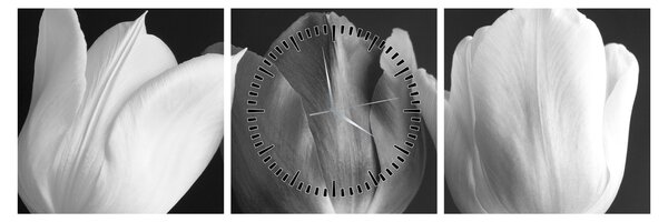 Obraz - Černobílé květy tulipánů (s hodinami) (90x30 cm)