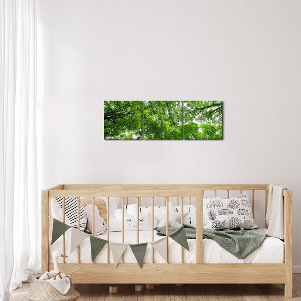 Obraz - Pohled do korun stromů (s hodinami) (90x30 cm)