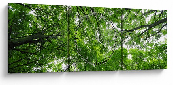 Obraz - Pohled do korun stromů (s hodinami) (90x30 cm)
