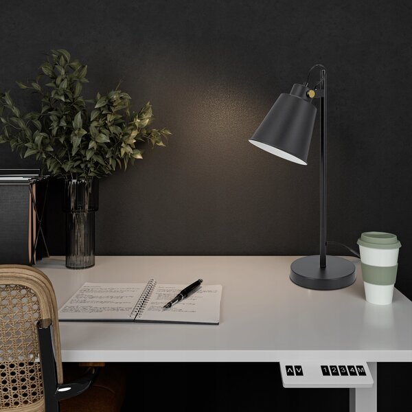 Černá stolní lampa E27, nastavitelná, IP20, šířka 15 cm, výška 46 cm