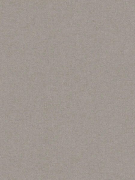A.S. Création | Vliesová tapeta na zeď Vibes & Styles 79010-4 | 0,53 x 10,05 m | šedá