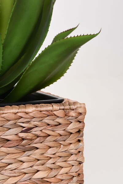 Květináč ASIA, vodní hyacint, výška 40 cm, natur, outlet