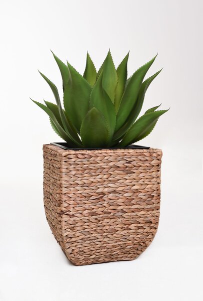 Květináč ASIA, vodní hyacint, výška 40 cm, natur, outlet