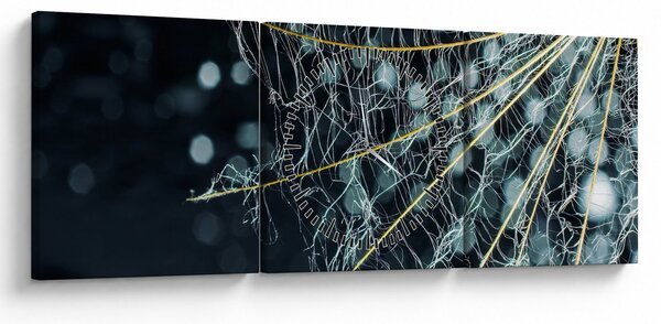 Obraz -Květ s pavučinou (s hodinami) (90x30 cm)