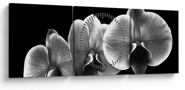 Obraz květu orchideje (s hodinami) (90x30 cm)