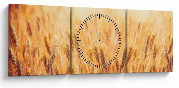 Obraz - pole s obilím (s hodinami) (90x30 cm)