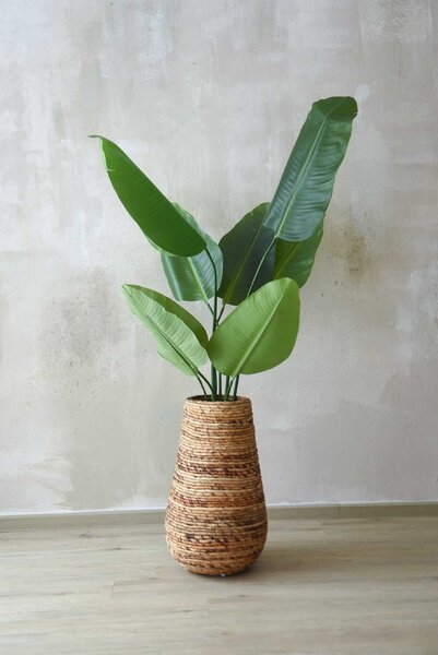 Pokojový květináč ROTA, vodní hyacint, průměr 35 cm, natur