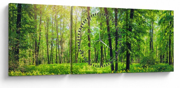 Obraz - Jarní listnatý les (s hodinami) (90x30 cm)